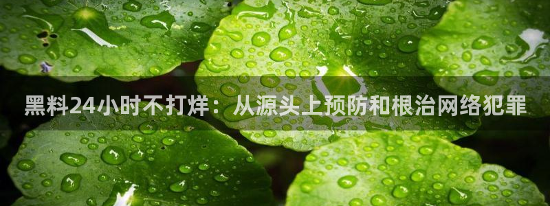 脆瓜尽量少吃最好不吃:黑料24小时不打烊:从源头上预防和根治网络犯罪